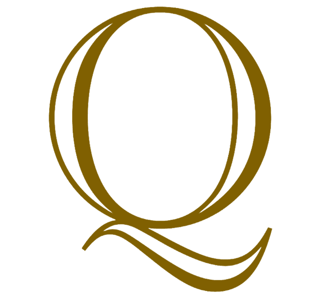 QodoByte Logo